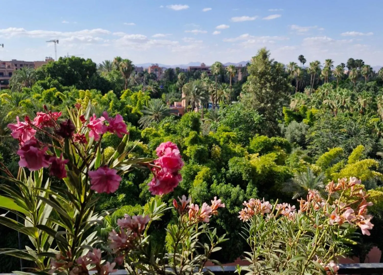 Luxueux Duplex Rooftop En Plein Coeur De Majorelle Marrakesh